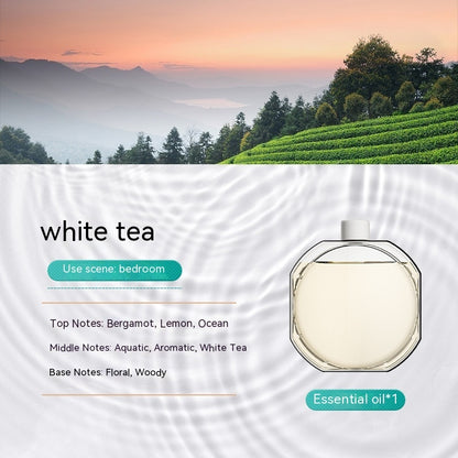 Deodorant Air Humidifier Aroma Diffuser